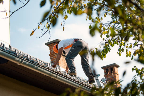 Best Rubber Roofing (EPDM, TPO)  in Steelville, MO