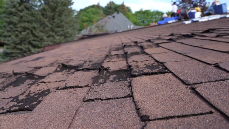Best 4 Ply Roofing  in Steelville, MO