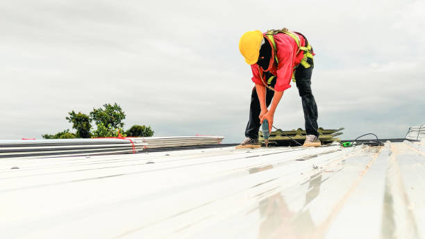 Best Roof Moss and Algae Removal  in Steelville, MO
